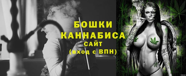PSILOCYBIN Лиски