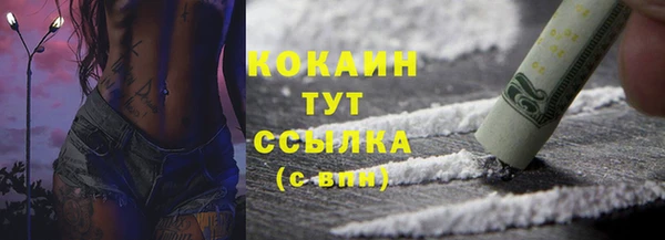 бошки Ладушкин