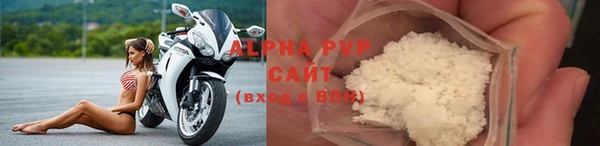 бошки Ладушкин