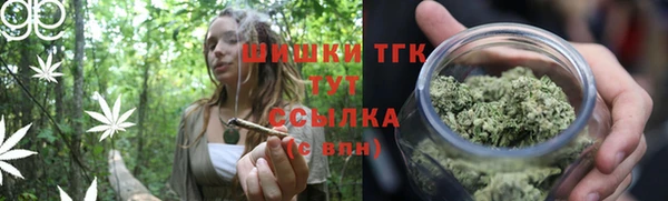 бошки Ладушкин