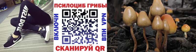 Псилоцибиновые грибы Magic Shrooms  Купить закладки  Кизилюрт 